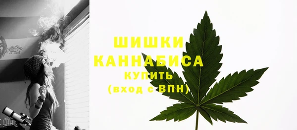стафф Ельня
