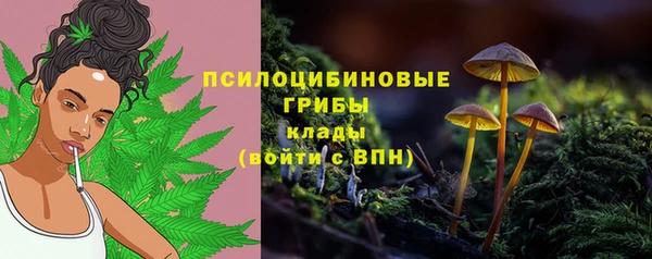 прущие крисы Абинск